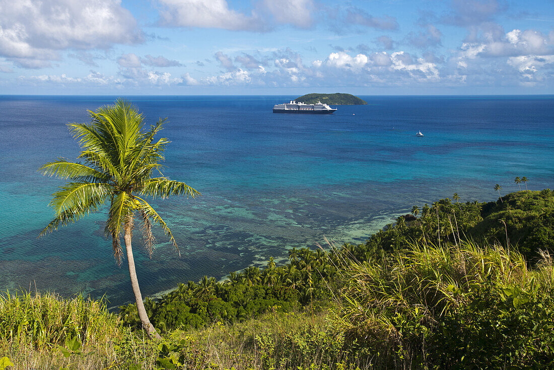 Kokospalmen auf der Insel Dravuni, Fidschi mit der MS Oosterdam im Hintergrund