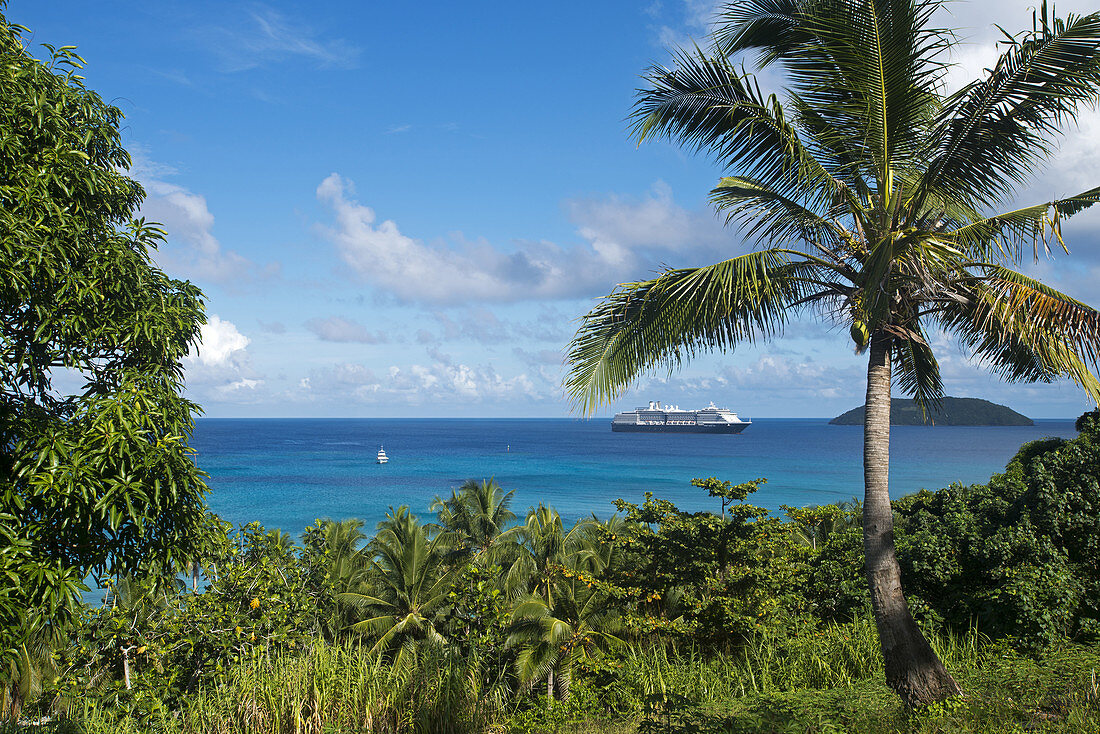 coconut palms on Dravuni Island, Fiji, with the MS Oosterdam in the background