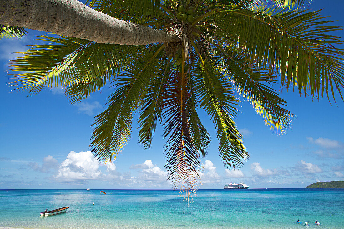 coconut palms on Dravuni Island, Fiji, with the MS Oosterdam in the background