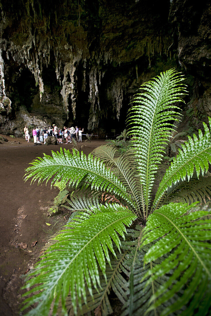 Die Grotte de la Reine Hortense auf der Ile des Pines, Neukaledonien