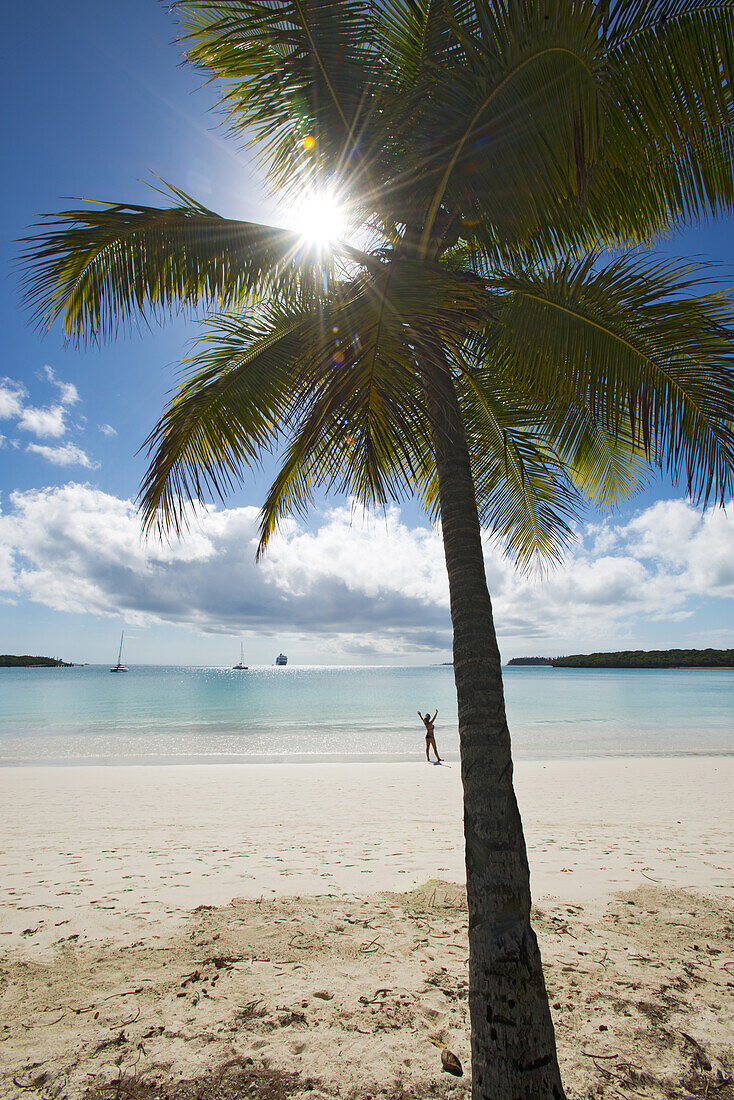 Coconut palm at Kuto Bay on Ile des Pines, New Caledonia