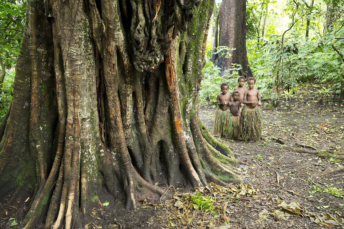 Traditionelles Leben im Yakel Custom Village auf der Insel Tanna