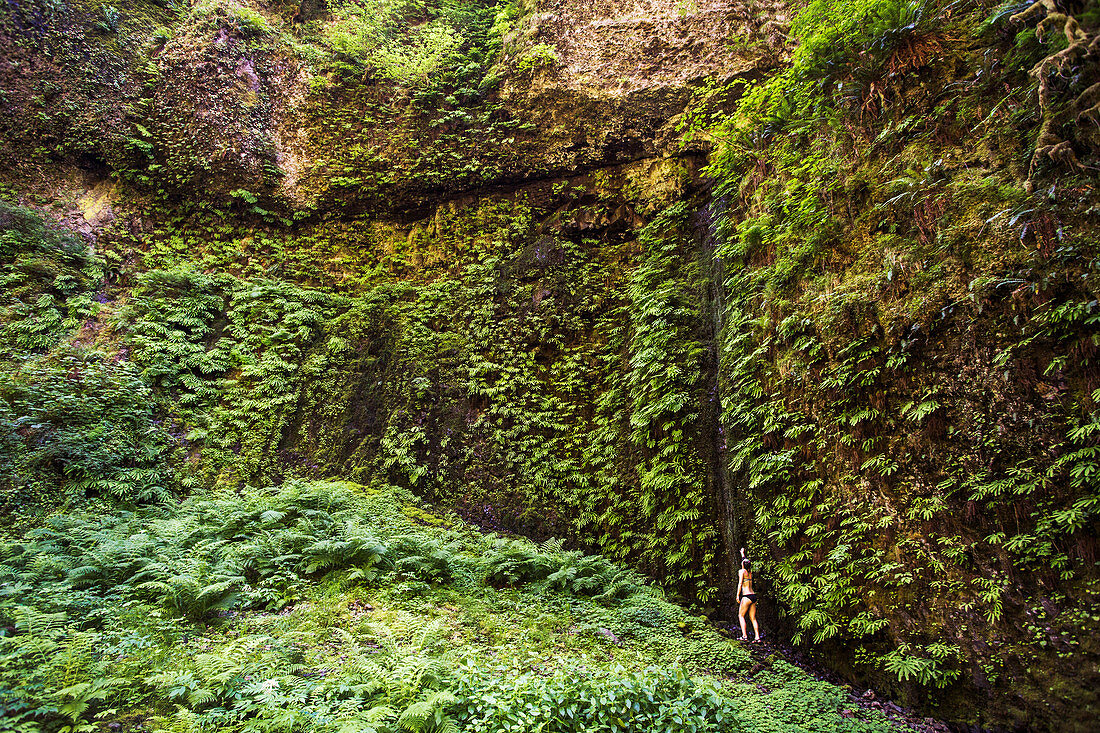 A woman in a biking stands below a wall of ferns and mosses.