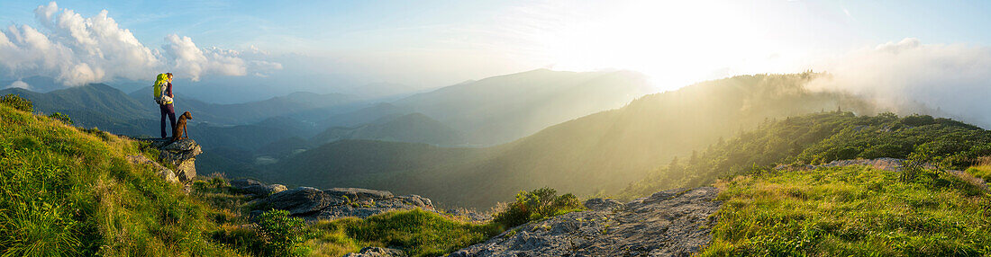 A panorama of a woman and her dog watching the sunset on Grassy Ridge while backpacking on the Roan Highlands near  Bakersville, North Carolina.