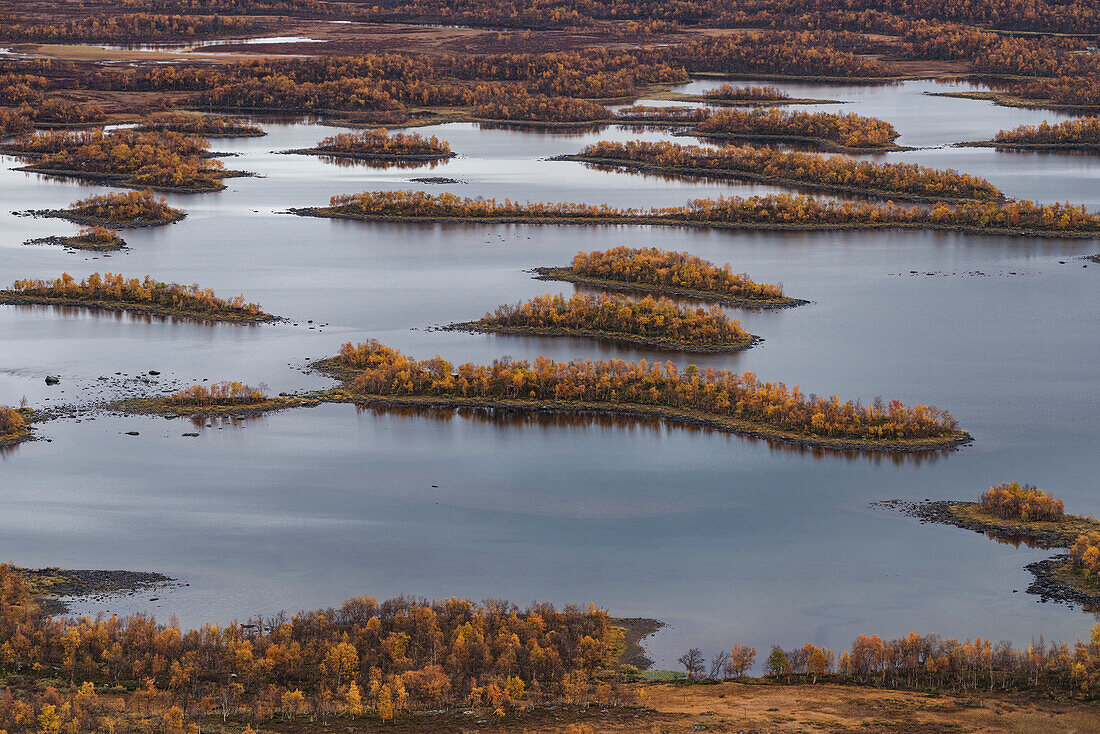 Islands and autumn colors of lake Tärnasjön, Kungsleden trail, Lapland, Sweden