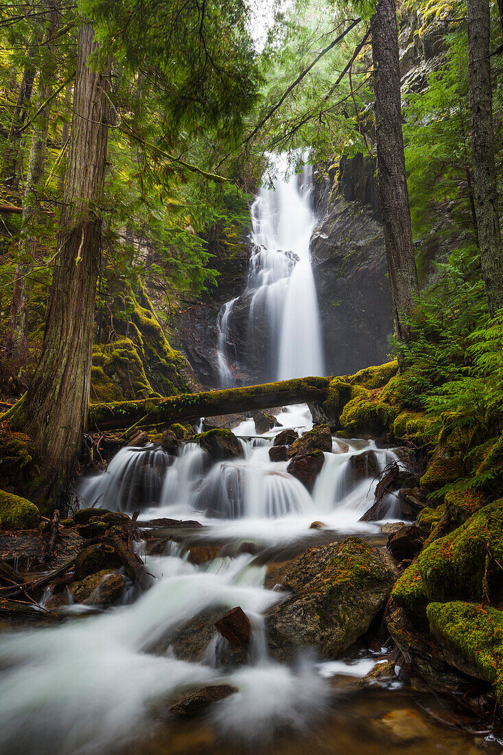 Cedar Hollow Falls, located along the Ross Dam Trail in the North Cascades National Park, Washingon.