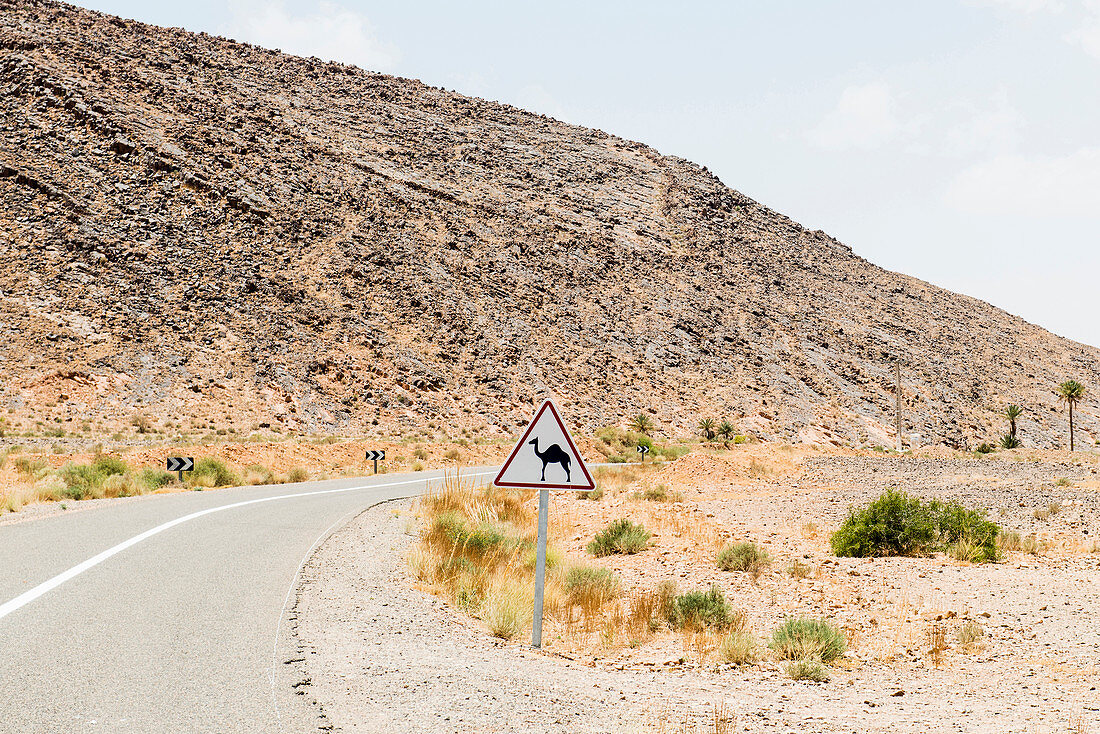 traffic sign, near Erfoud, Sahara Desert, Morocco