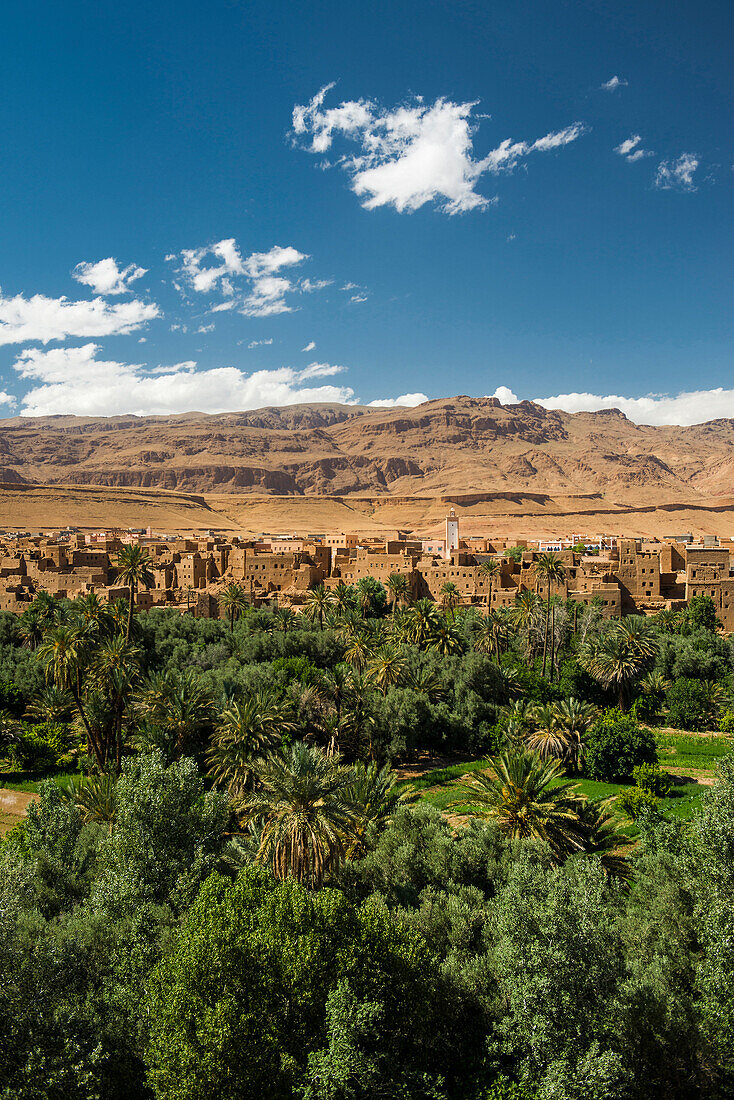 Oase mit traditionellen Lehmhäusern und Dattelpalmen, Tinghir, Todra-Schlucht, Sahara, Marokko