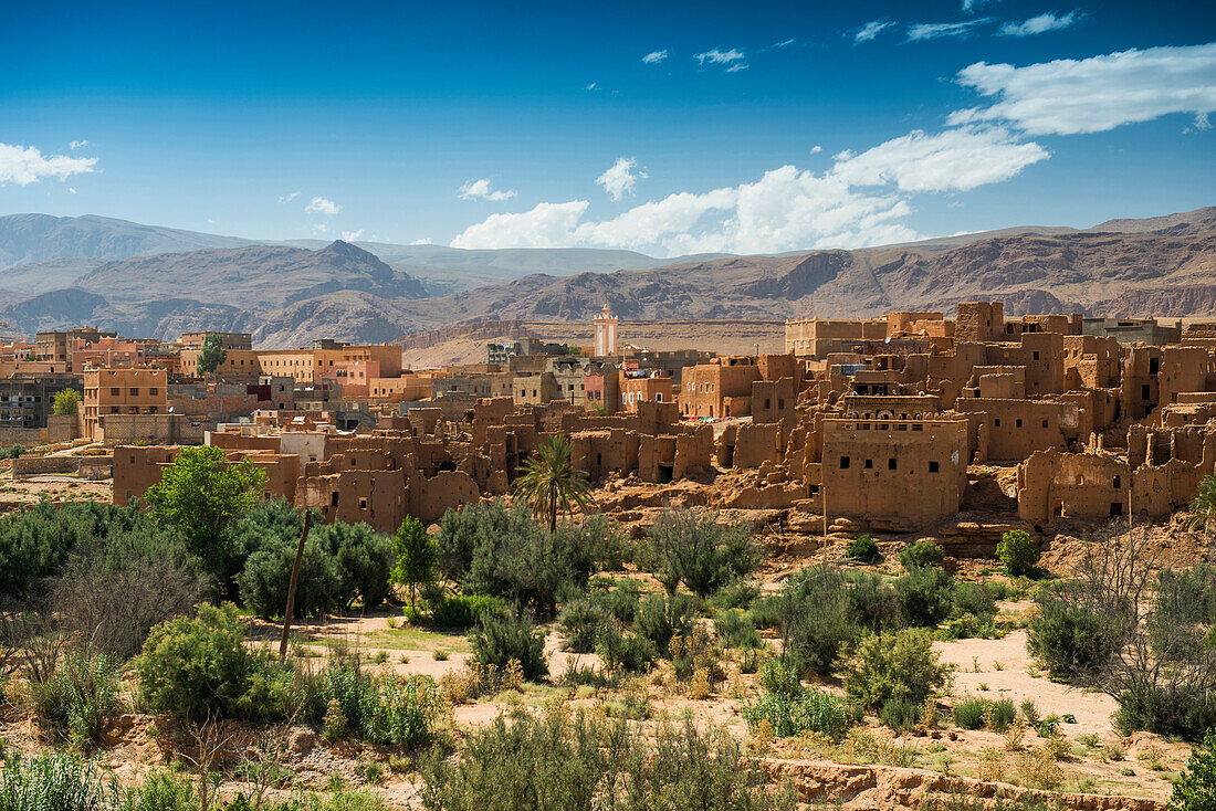 Oase mit traditionellen Lehmhäusern und Dattelpalmen, Tinghir, Todra-Schlucht, Sahara, Marokko