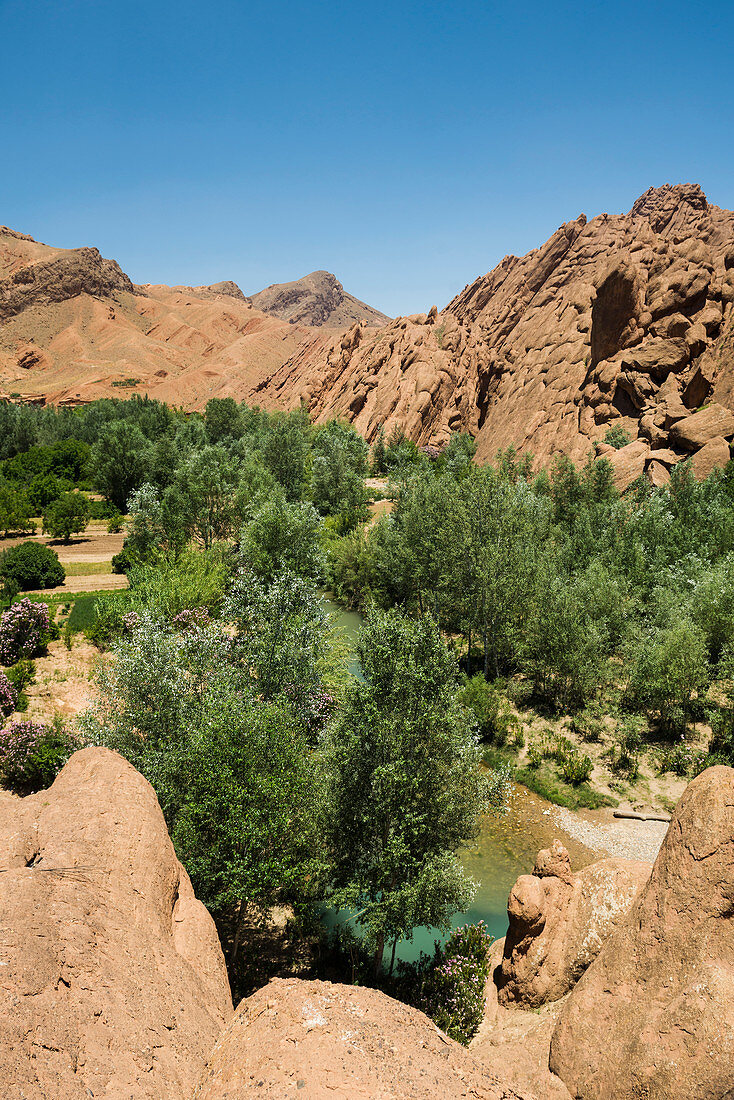 oasis, Dades Valley, near Boumalne-du-Dades, Sahara Desert, Morocco