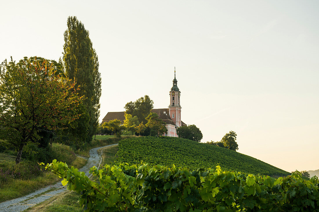 Wallfahrtskirche und Kloster Birnau, Uhldingen, Bodensee, Baden-Württemberg, Deutschland