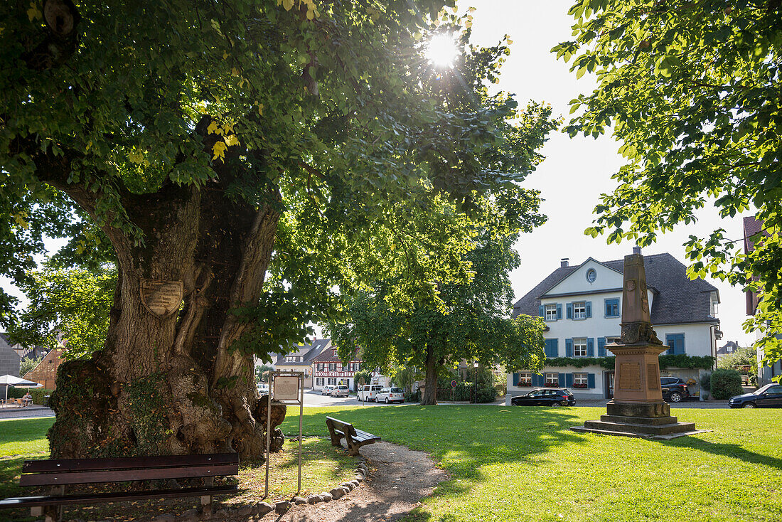 Insel Reichenau, UNESCO-Welterbe, Bodensee, Baden-Württemberg, Deutschland