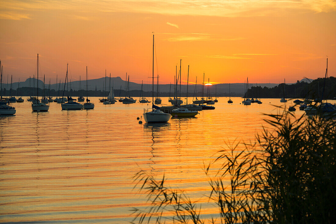 sunset, Allensbach, Lake Constance, Baden-Württemberg, Germany