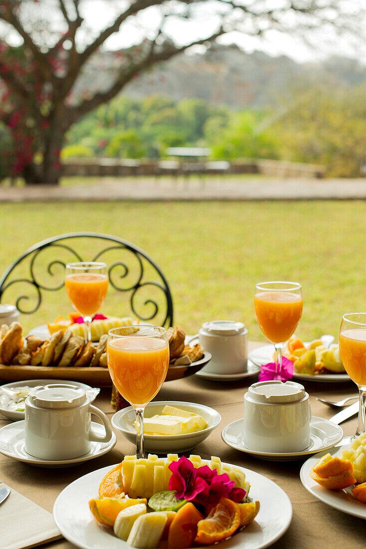 Fresh fruit and juice on outdoor table