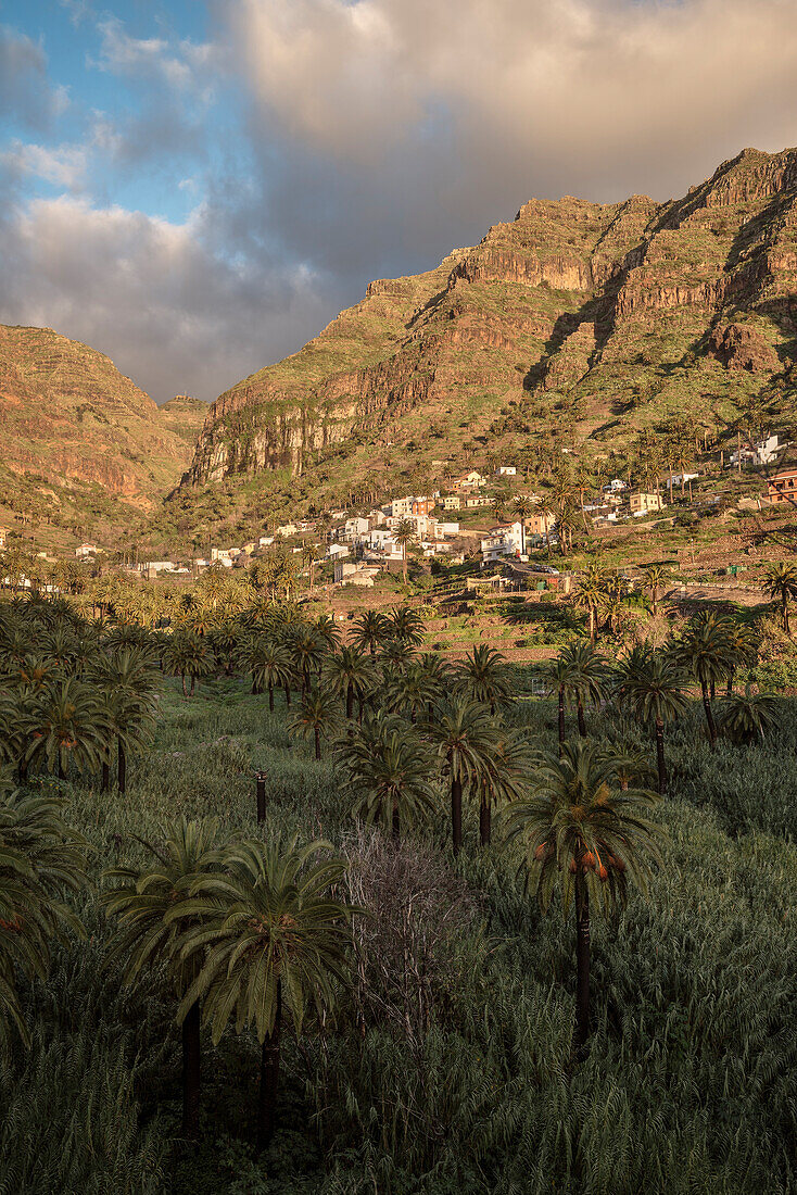 Palmen und Häuser am Steilhang, Valle Gran Rey, La Gomera, Kanarische Inseln, Kanaren, Spanien