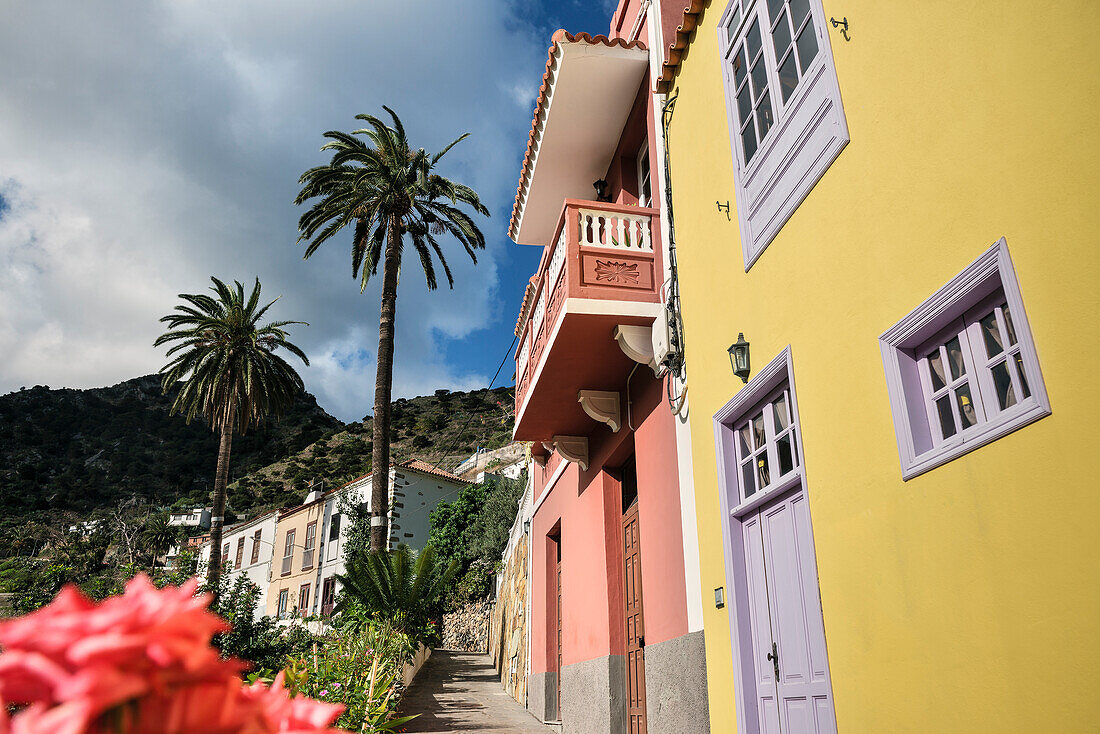 bunte Häuser und Palmen im Tal von Vallehermoso, La Gomera, Kanarische Inseln, Kanaren, Spanien