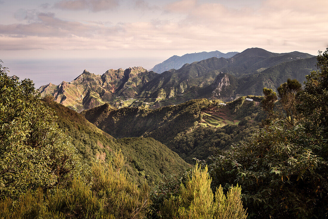 typische grün bewachsene Felslandschaft des Anaga Gebirge, Teneriffa, Kanarische Inseln, Kanaren, Spanien