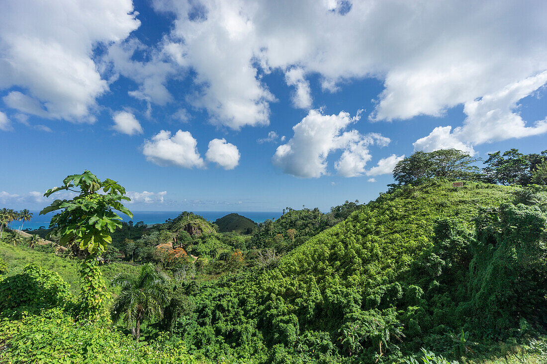 Tropische Landschaft bei Las Terrenas, Samana, Dominikanische Republik, Antillen, Karibik