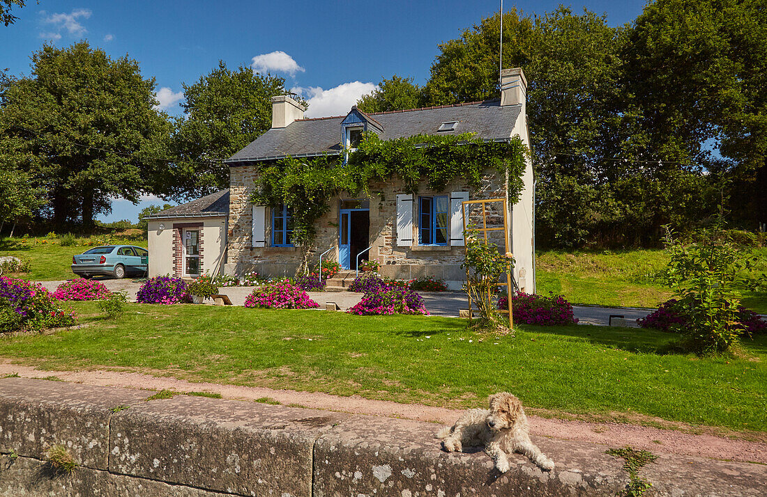 Lock-keeper's house and dog, Lock 31, Guillac, River Oust and, Canal de Nantes à Brest, Departement Morbihan, Brittany, France, Europe