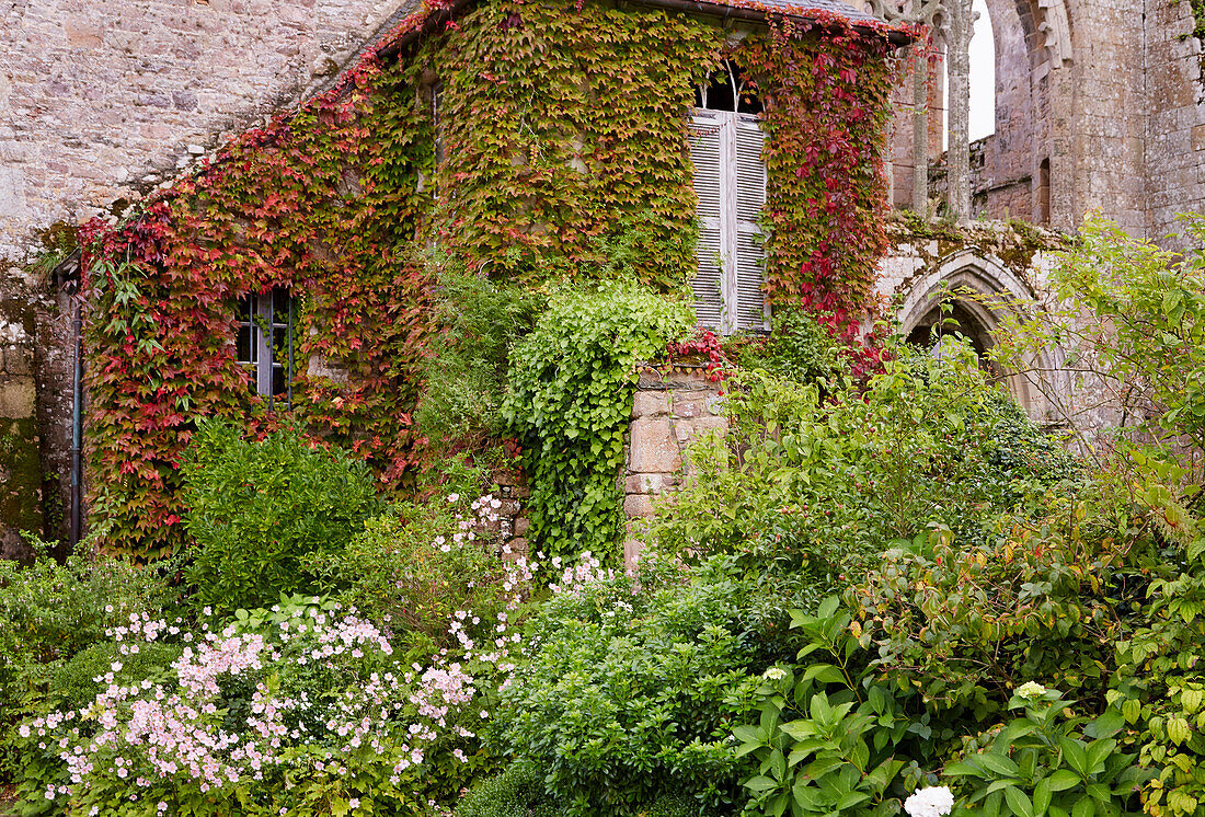 Abbaye de Beauport near Paimpol, Dept. Côtes-d'Armor, Brittany, France, Europe