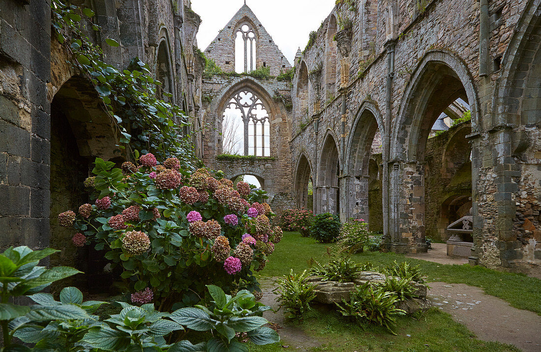 Abbaye de Beauport bei Paimpol, Dept. Côtes-d'Armor, Bretagne, Frankreich, Europa