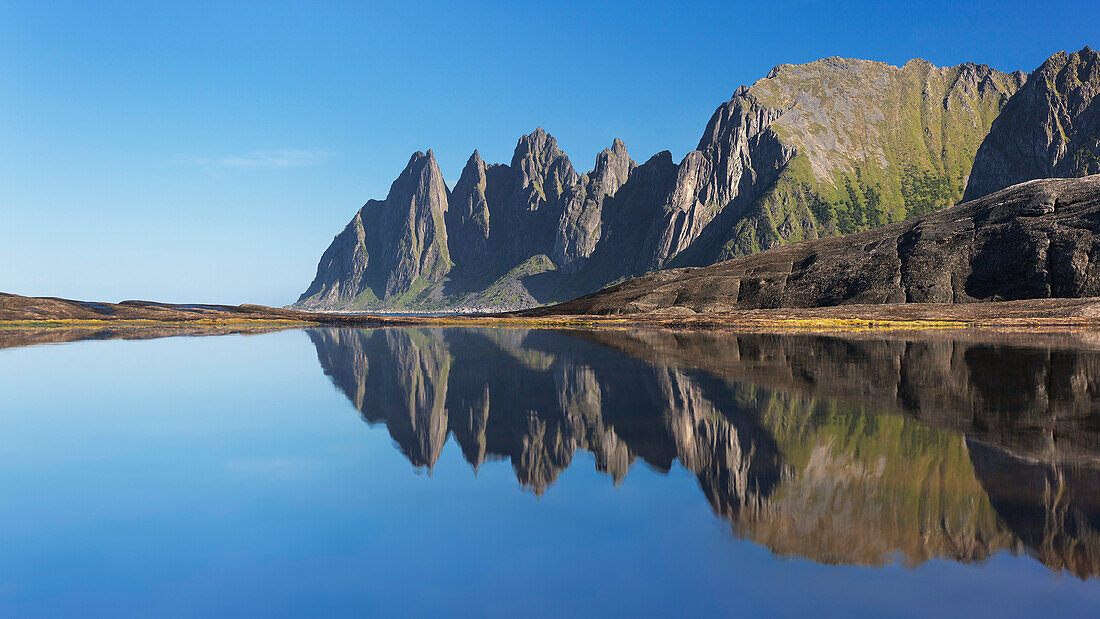 Okshornan Felsenspitzen am Ersfjordr in Nordnorwegen mit Spiegelung im Sommer, Insel Senja, Fylke Troms, Norwegen, Skandinavien