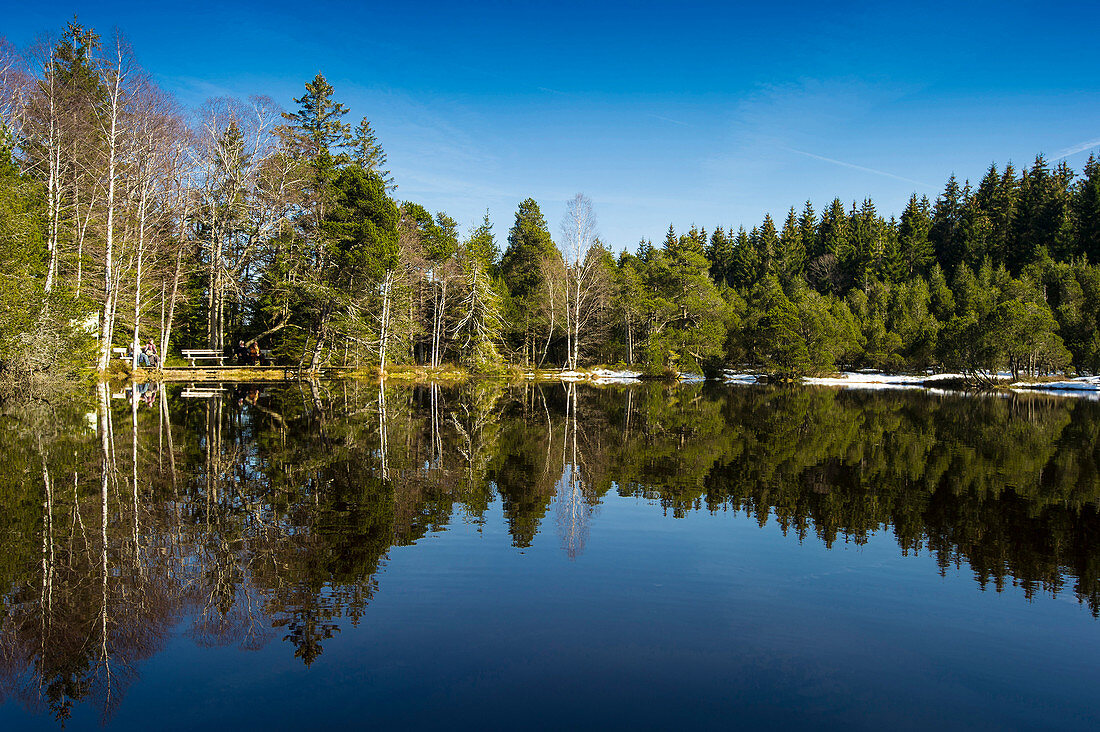 Blindensee, bei Schonach, Schwarzwald, Baden-Württemberg, Deutschland