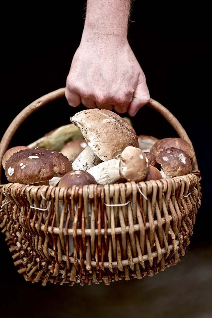 Basket full of mushrooms