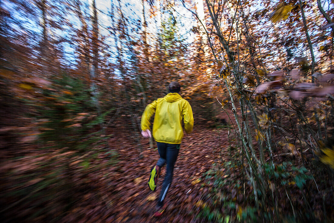Young man running on a trail through a forest, Allgaeu, Bavaria, Germany