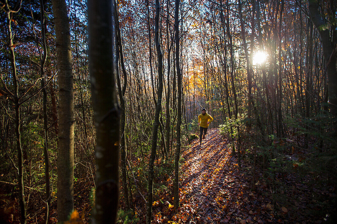 Young man running on a trail through a forest, Allgaeu, Bavaria, Germany