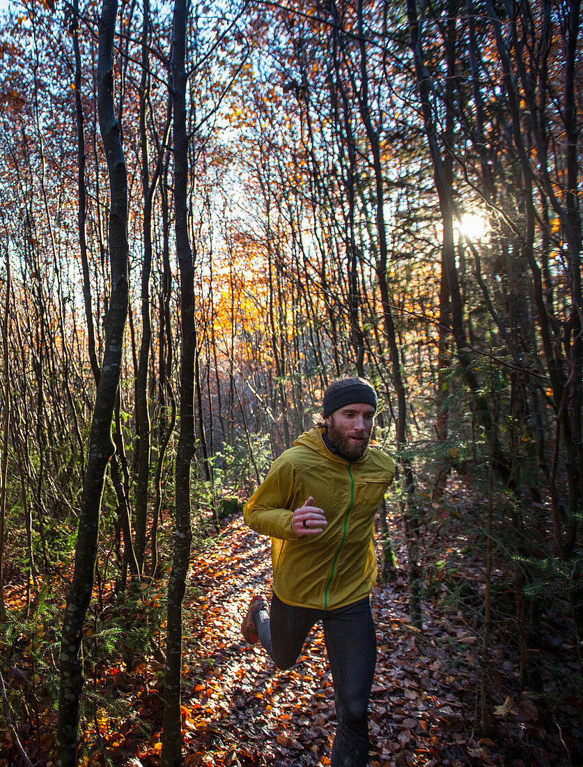 Young man running on a trail through a forest, Jogging, Allgaeu, Bavaria, Germany