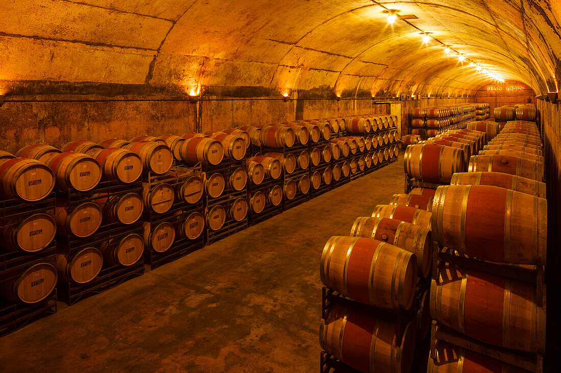 cellar, winery Jean Leon, Torrelavit, Penedes, Barcelona province, Catalunya, Catalonia, Spain, Europe