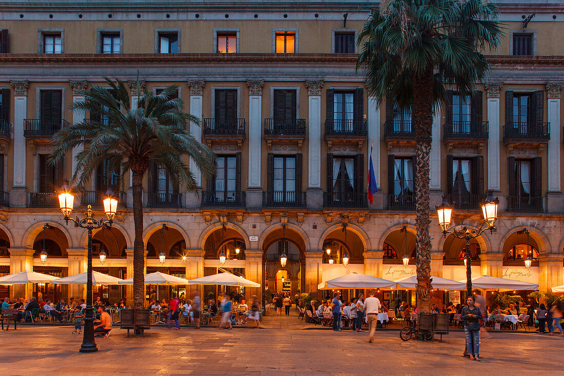 Placa Reial, Platz mit Palmen, Laterne, Barri Gotic, gotisches Viertel, Ciutat Vella, Altstadt, Barcelona, Katalonien, Spanien, Europa