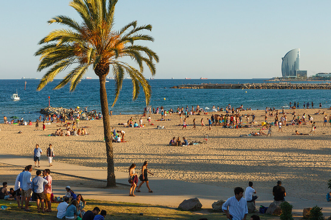 Strandleben, Platja de Barceloneta, Platja de Somrrostro, Strand, beim Port Olimpic. Barceloneta, Barcelona, Katalonien, Spanien, Europa