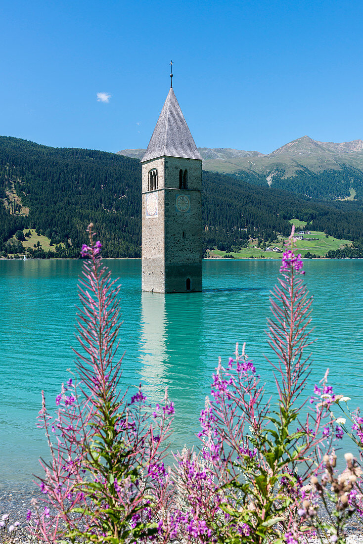 CuronGraun, Venosta Valley, South Tyrol, Italy. The bell tower in Reschensee