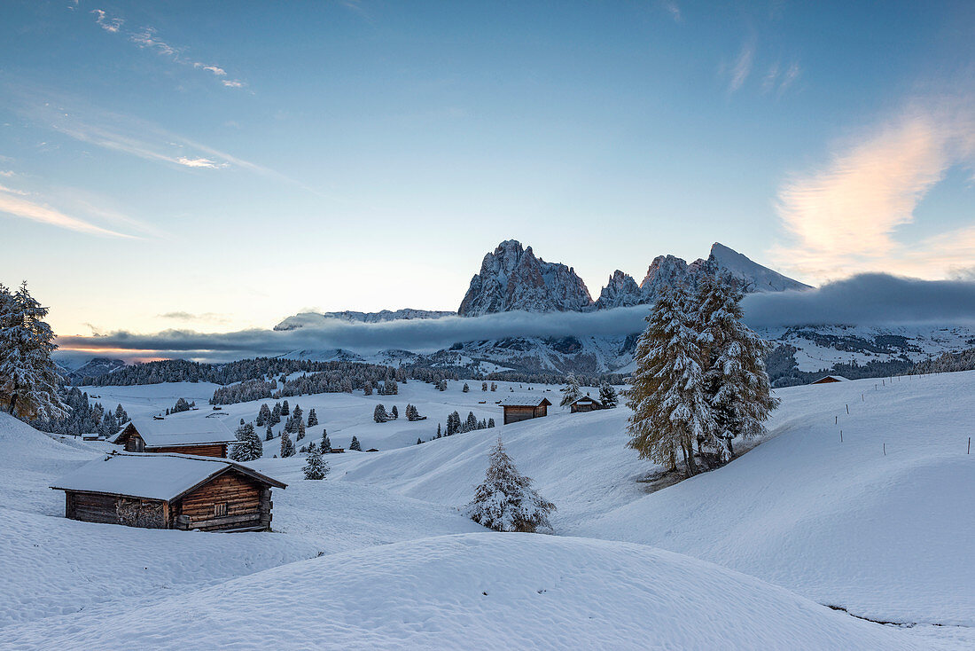 Alpe di SiusiSeiser Alm, Dolomites, South Tyrol, Italy. The first autumn snow on the Alpe di SiusiSeiser Alm