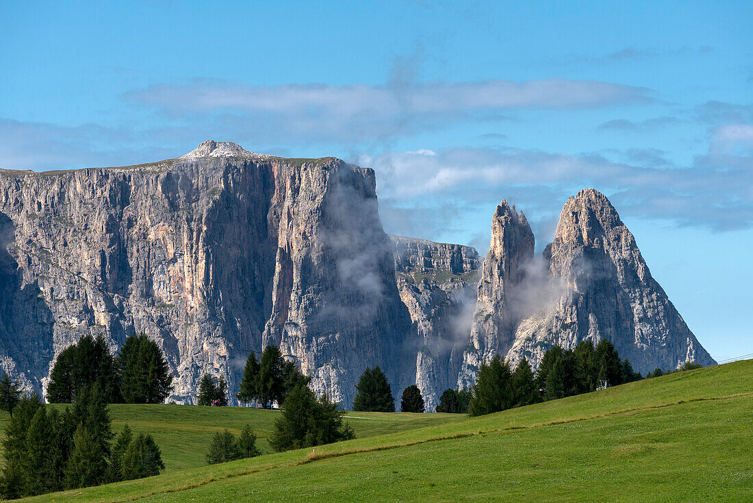 Alpe di SiusiSeiser Alm, Dolomites, South Tyrol, Italy. The peaks of SciliarSchlern, Euringer and Santner