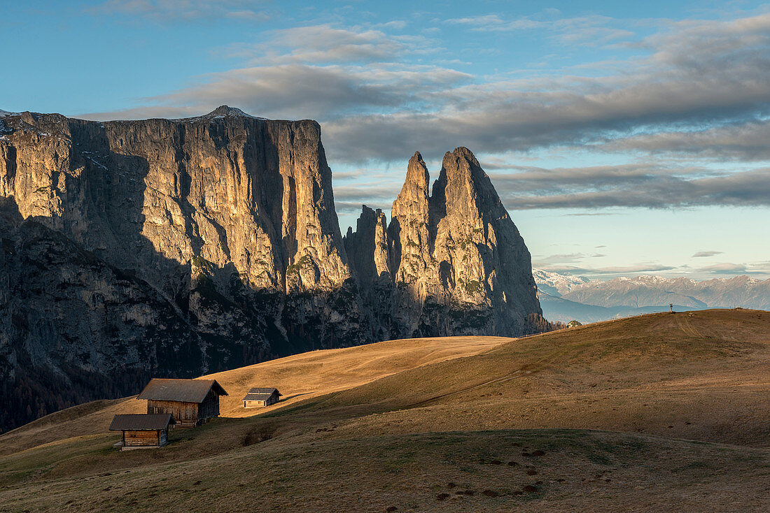 Alpe di SiusiSeiser Alm, Dolomites, South Tyrol, Italy. Autumn on the Alpe di SiusiSeiser Alm. In the background the peaks of SciliarSchlern, Euringer and Santner