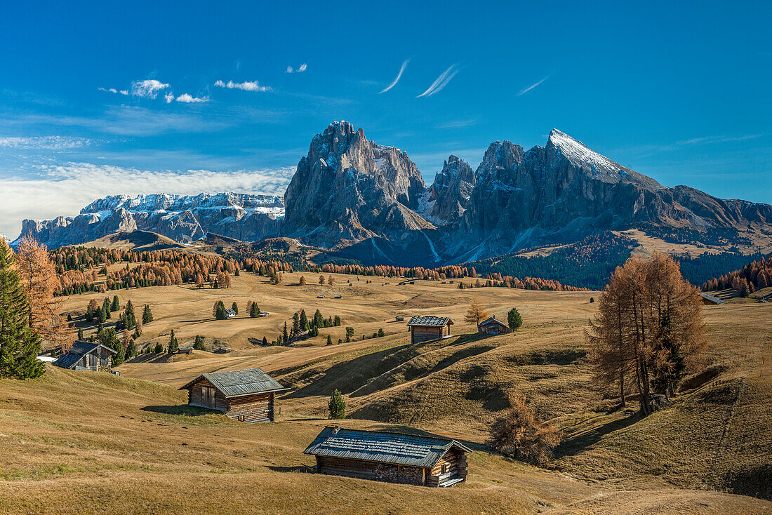 Alpe di SiusiSeiser Alm, Dolomites, South Tyrol, Italy. Autumn on the Alpe di SiusiSeiser Alm with the peaks of Sella, SassolungoLangkofel and SassopiattoPlattkofel