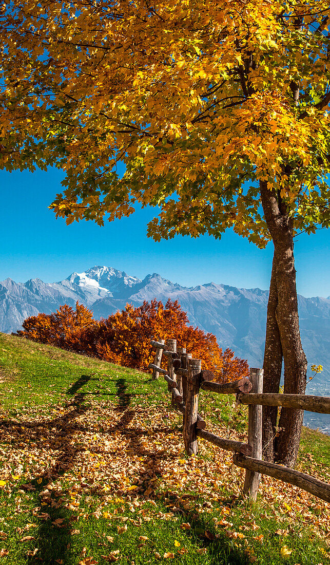 La Corte village, in the background Disgrazia peak. Gerola Valley, Valtellina, Lombardy