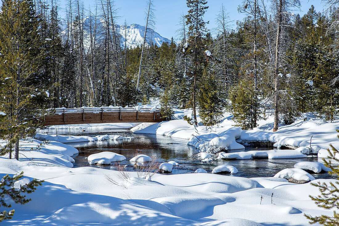 Footbridge over river in snowy forest