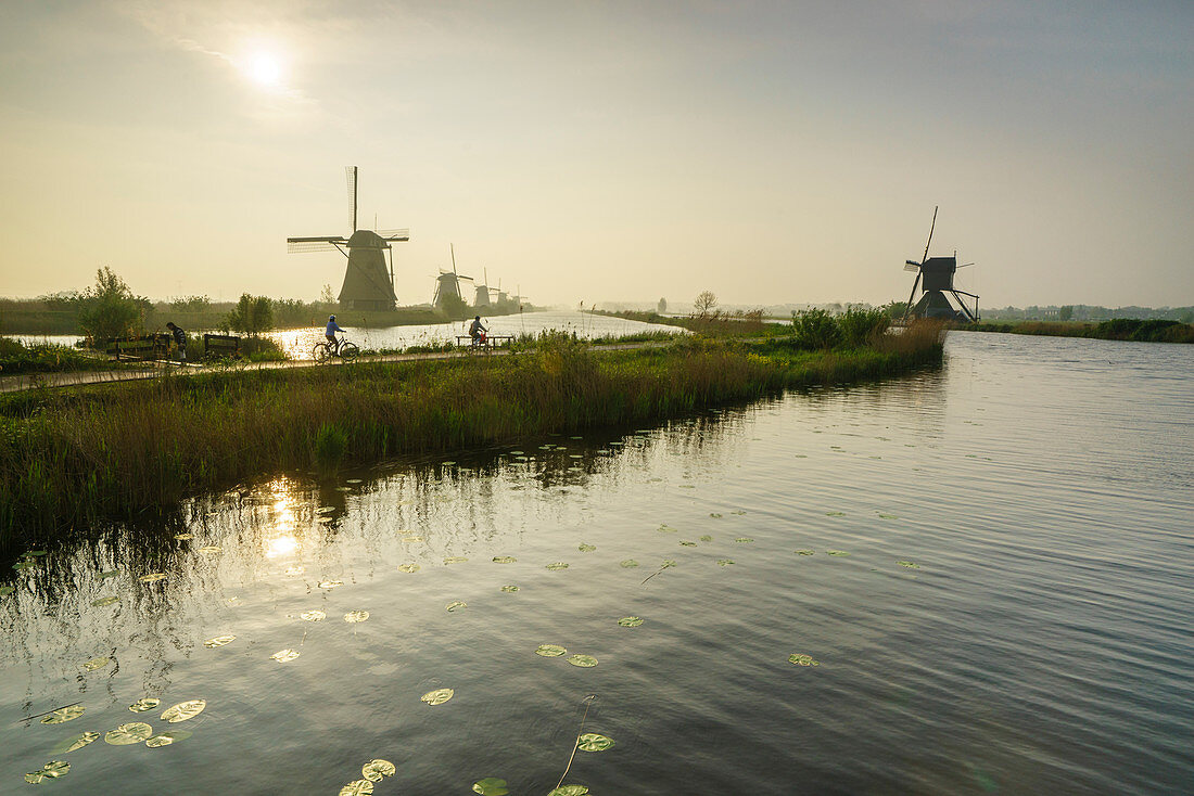 Bicycles run through a path between the canal and windmills, Kinderdijk, Rotterdam, South Holland, Netherlands, Europe