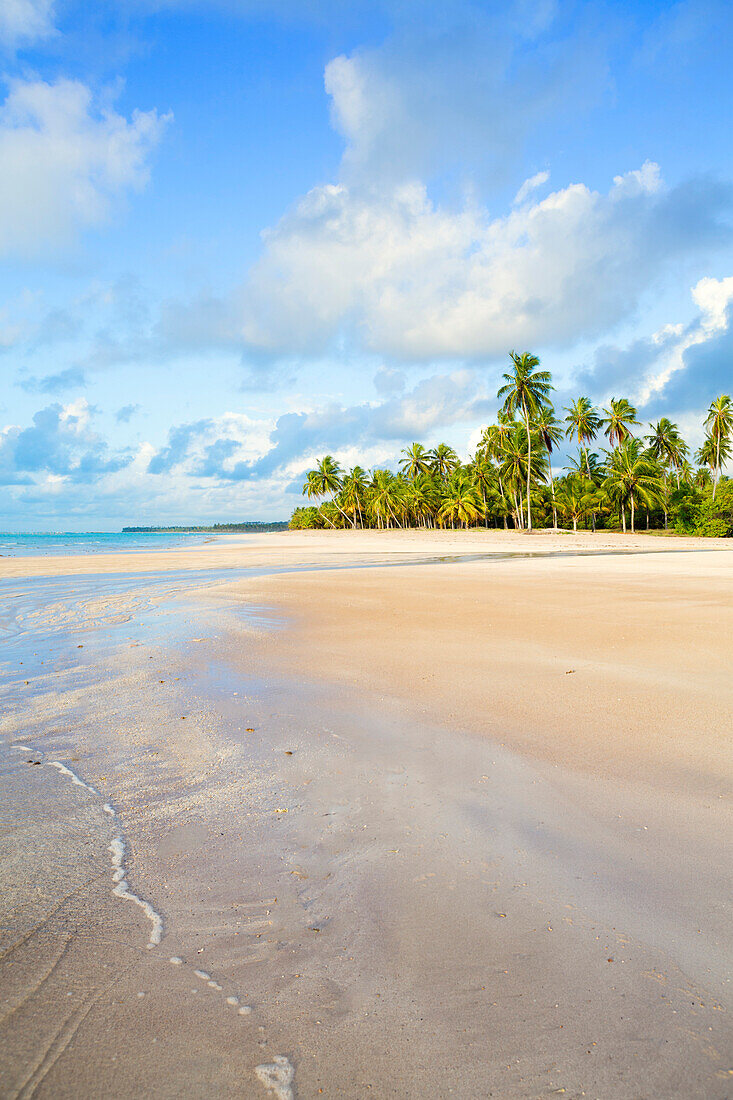 Deserted tropical beach, Bahia, Brazil, South America