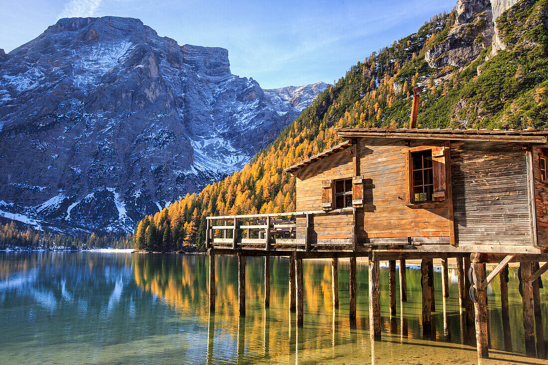 Wooden hut and colourful woods reflected in Lake Braies, Natural Park of Fanes Sennes, Bolzano, Trentino-Alto Adige, Italy, Europe