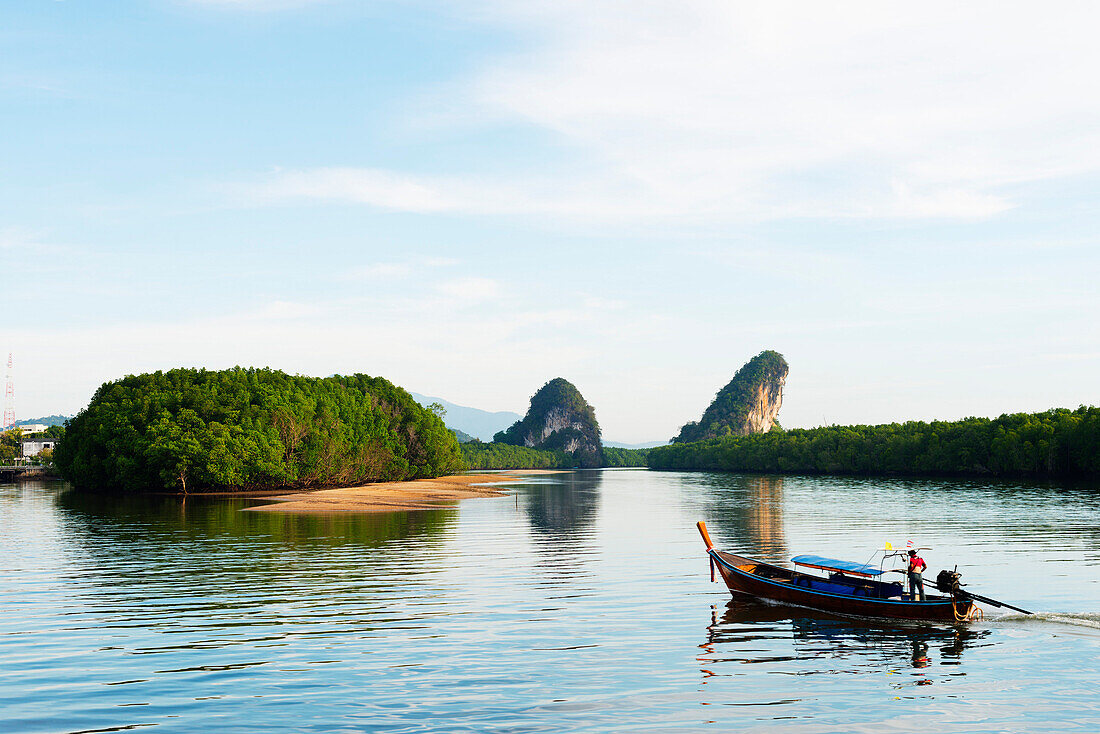 Mangrove forest on Krabi estuary, Krabi, Thailand, Southeast Asia, Asia