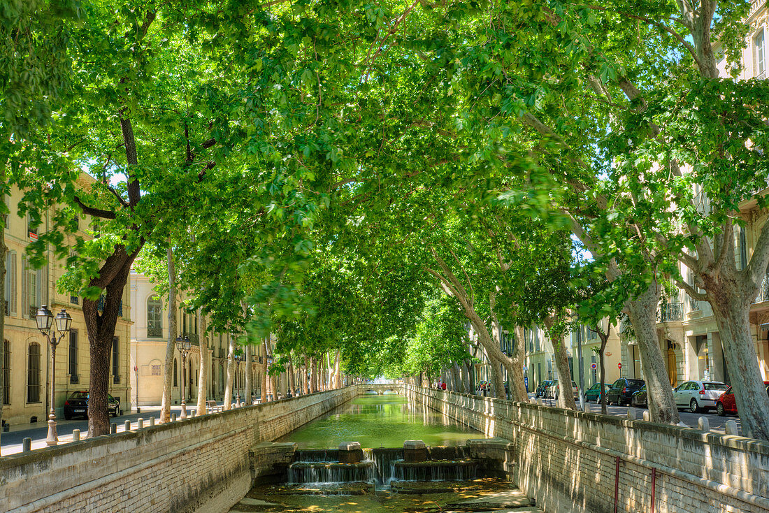 Quai de la Fontaine, Nimes, Gard, Languedoc-Roussillon, France