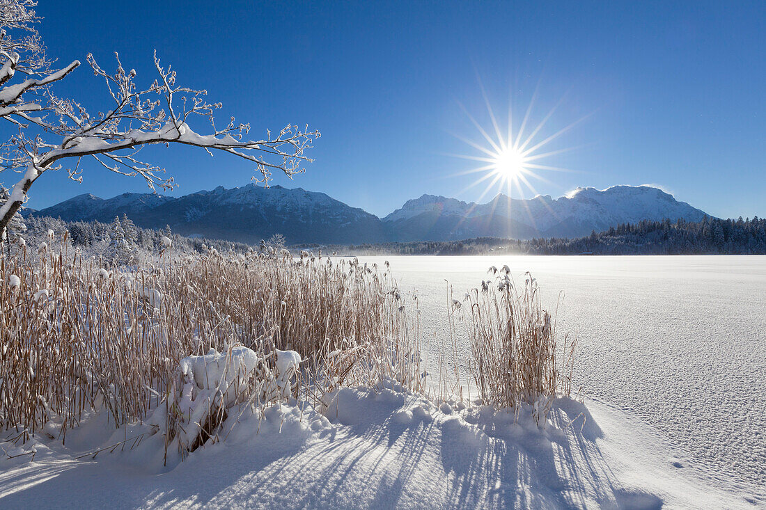 Winterlandschaft am Barmsee, Blick auf Soierngruppe und zum Karwendel, Bayern, Deutschland