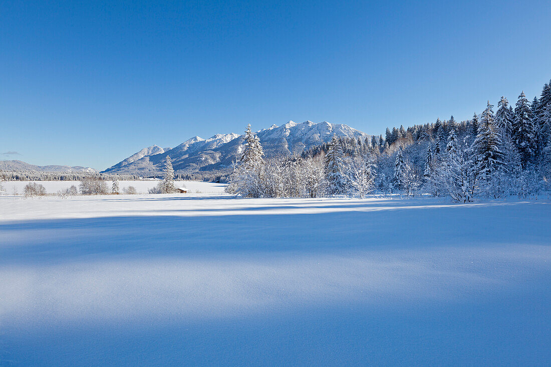 Winter landscape at Barmsee, view to Soiern range, Bavaria, Germany