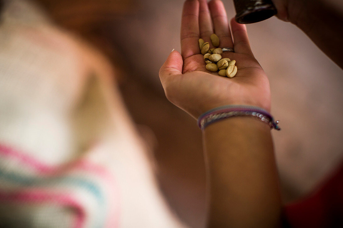 A young woman tests coffee beans while they are being roasted at a coffee facility in rural Colombia.