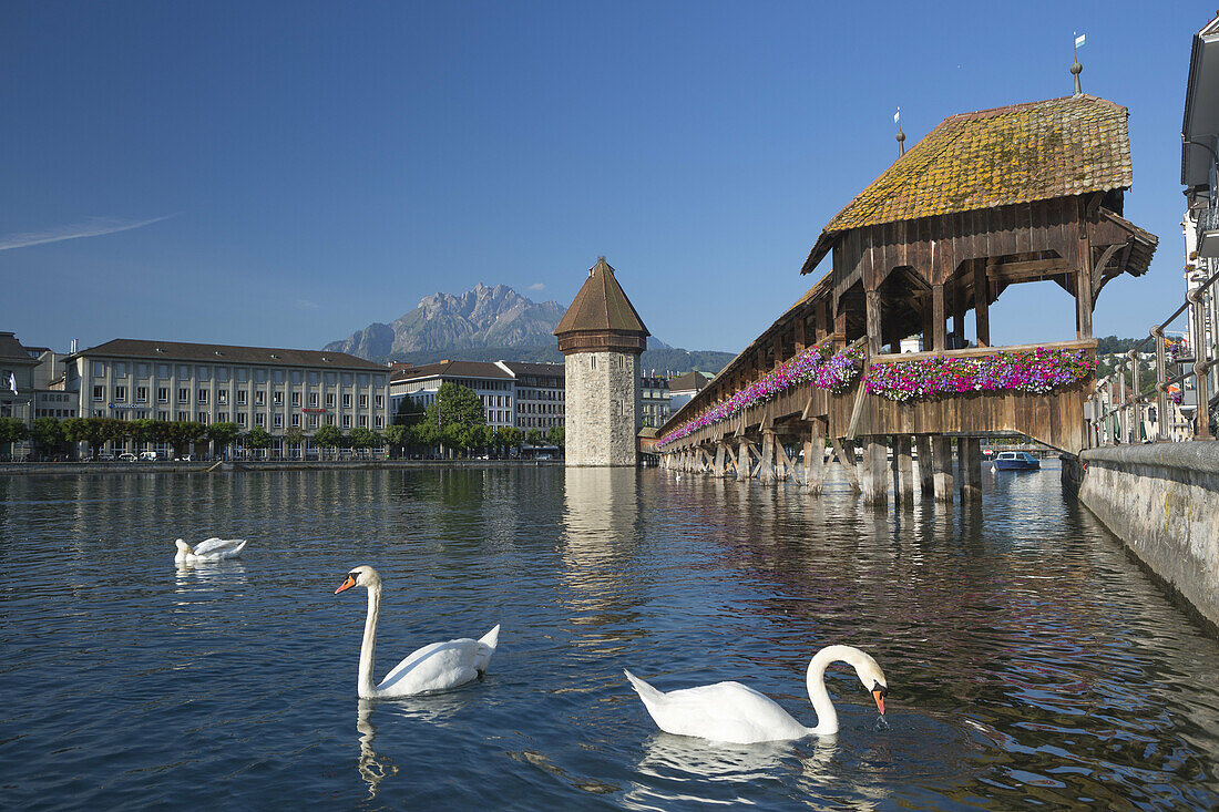 Switzerland, Lucerne City , Chapel Bridge (W.H.).